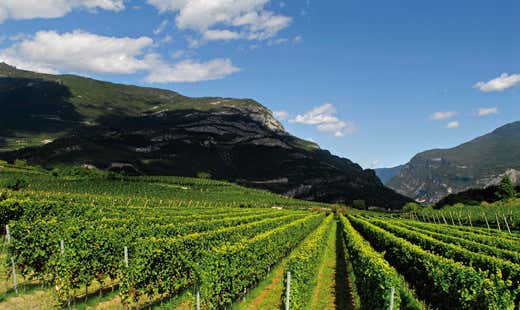 credito foto: Daniele Lira credito foto: Daniele Lira