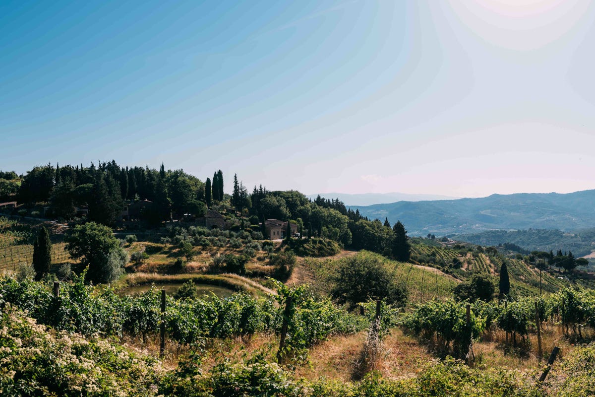 I vini di Vecchie Terre di Montefili protagonisti dallo chef Giulio Terrinoni