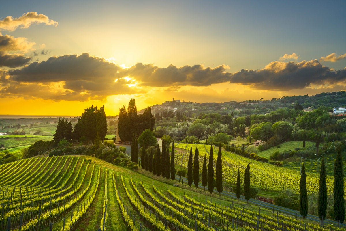 La Toscana è la regione enologicamente più importante in Italia Toscana il mondo del vino non resta mai fermo