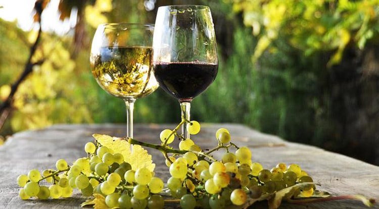 Giordano Vini, il vino italiano che vince nel mondo