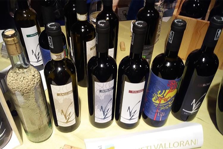 Etichette in degustazione: Vigneti Vallorani - Bio per amore al Terroir Marche Festival 
Tra vini d'Oltralpe e tipicità a tavola
