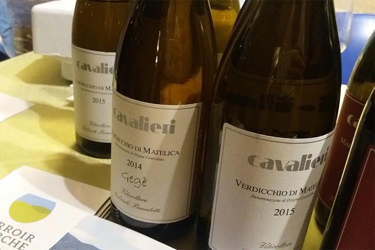 Etichette in degustazione: Cantina Cavalieri - Bio per amore al Terroir Marche Festival 
Tra vini d'Oltralpe e tipicità a tavola