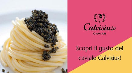 Calvisius                                                                                                                                             