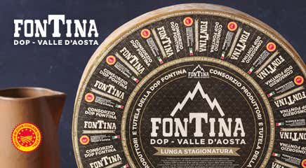 Fontina DOP                                                                                                                                           