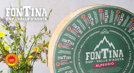 Fontina DOP                                                                                                                                           