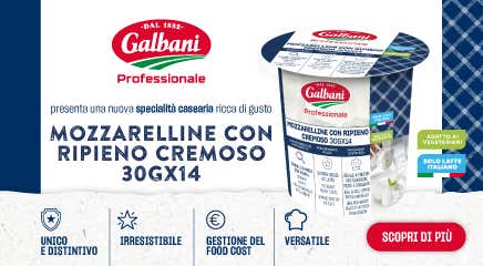 Galbani Professionale                                                                                                                                 