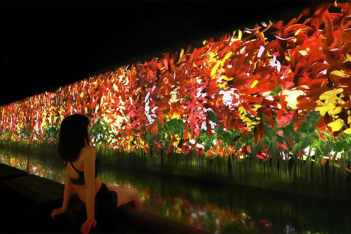 teamLab: A Whole Year per Year Vivere sauna e arte a Tokyo Un&rsquo;esperienza che va oltre