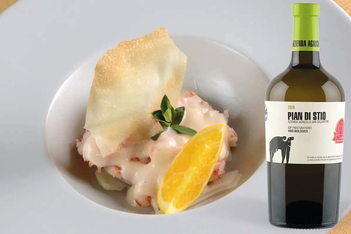 £$L'Italia del vino:$£ in Irpinia alla scoperta del Fiano 