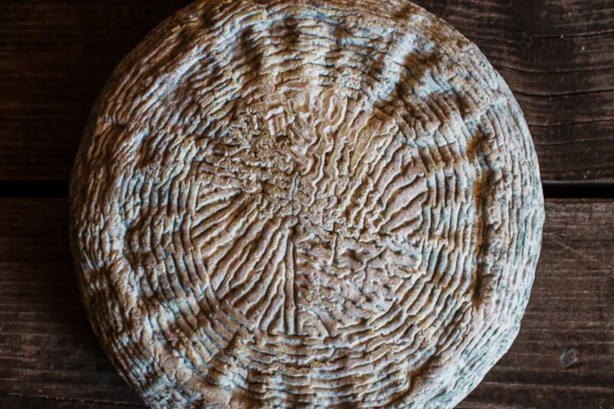 Il formaggio dell'anno &egrave; il Gregoriano Italian Cheese Awards, il pecorino Gregoriano &egrave; il formaggio dell&rsquo;anno
