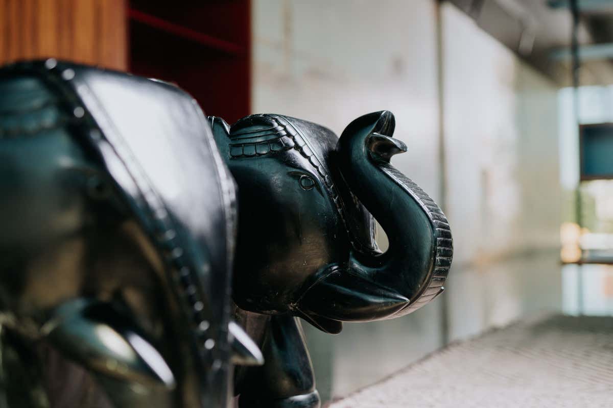 The Coat Club, una via della seta enogastronomica tra le montagne d'Abruzzo