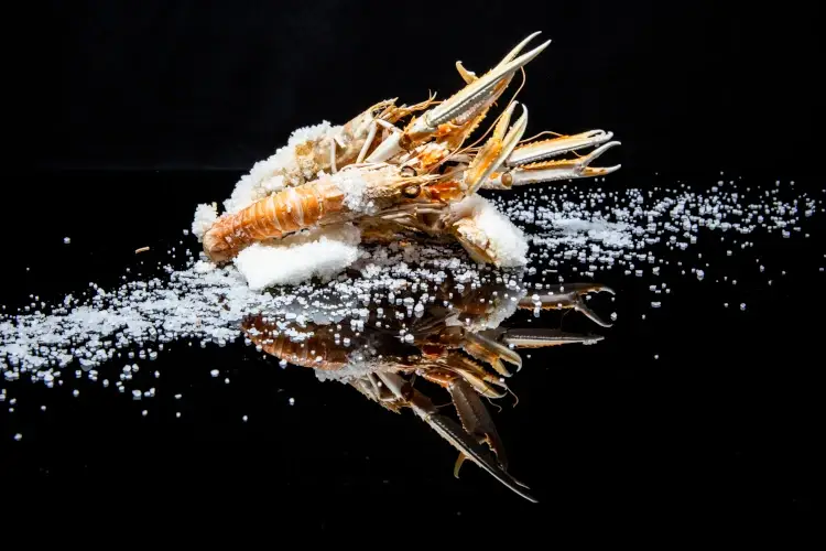 Al Gallo di Pordenone, un’antica osteria che sa di mare