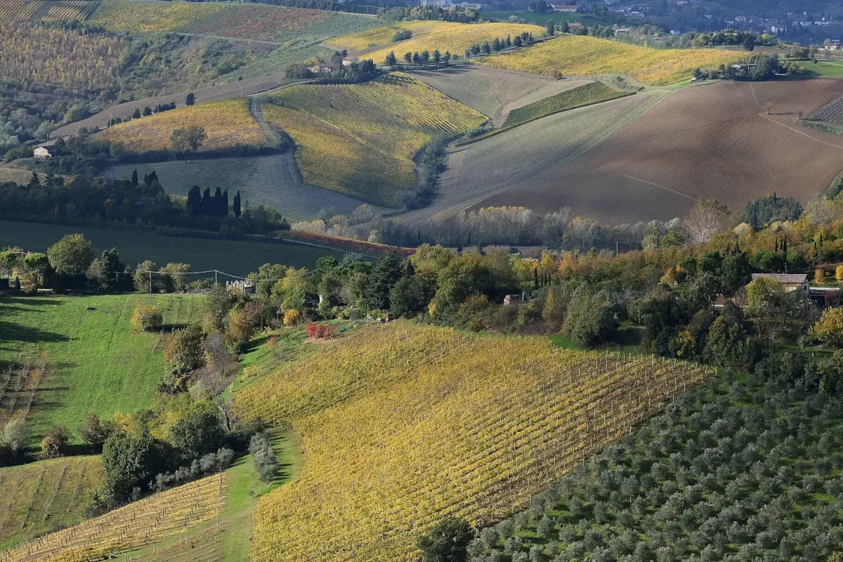Bertinoro, dal