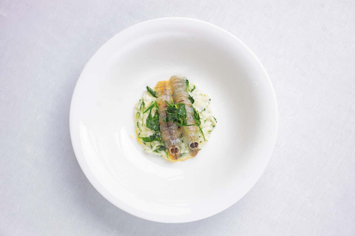 Londra Palace Venezia, antico e nuovo salotto in Riva degli Schiavoni