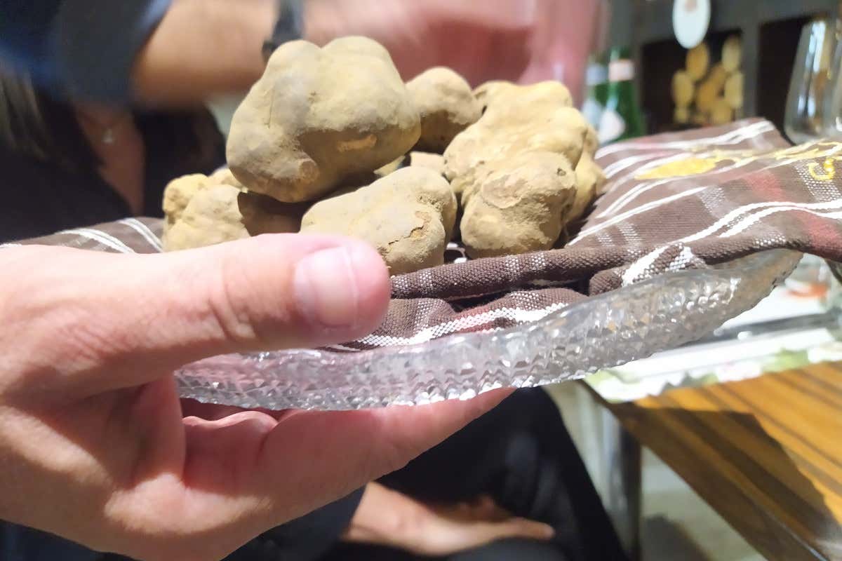 Savini, nei progetti il sommelier del tartufo