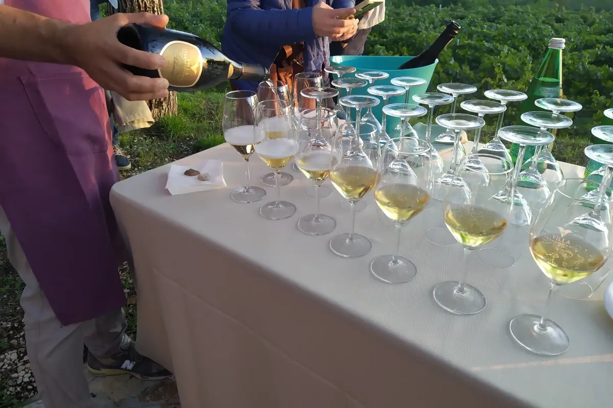 Villa di Monticelli Brusati, soddisfazione per il Festival Franciacorta e per la vendemmia