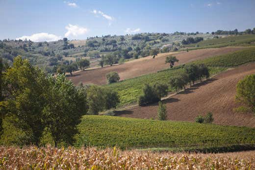 umbria landscape umbria landscape