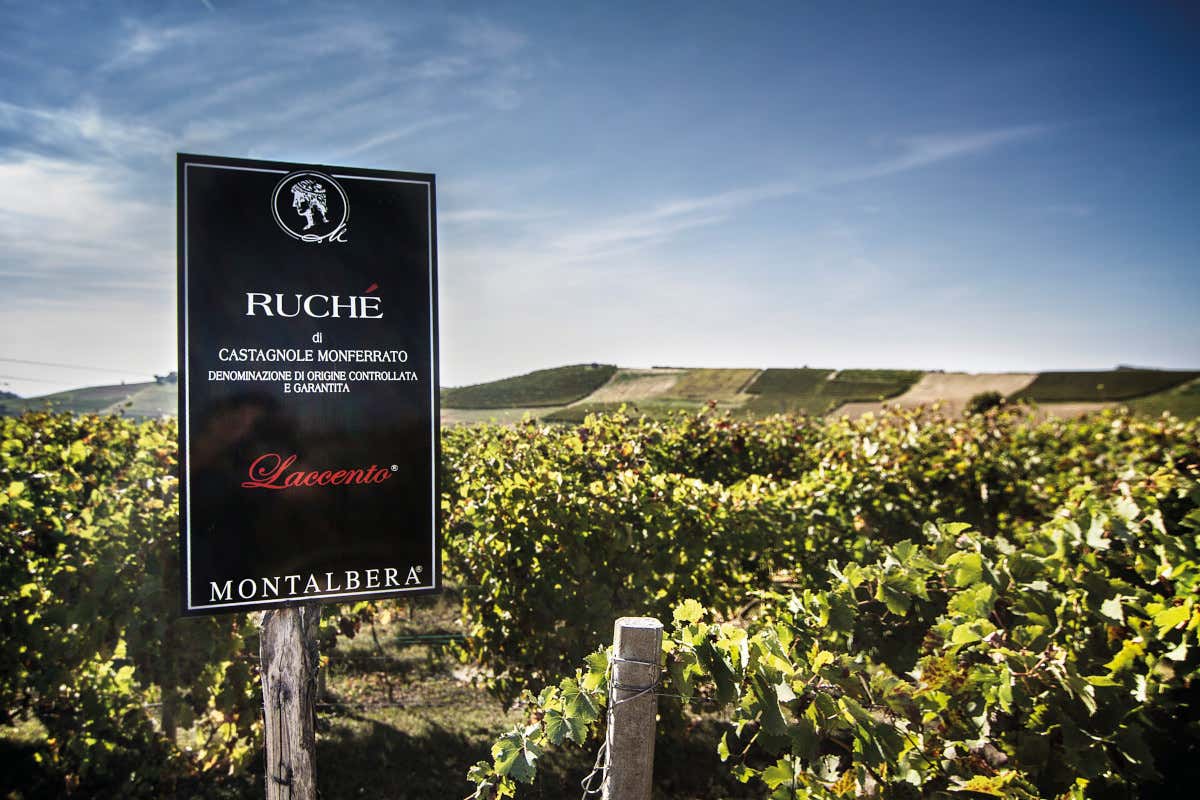 Estate tra i vigneti: Montalbera apre la sua terrazza con Jacuzzi