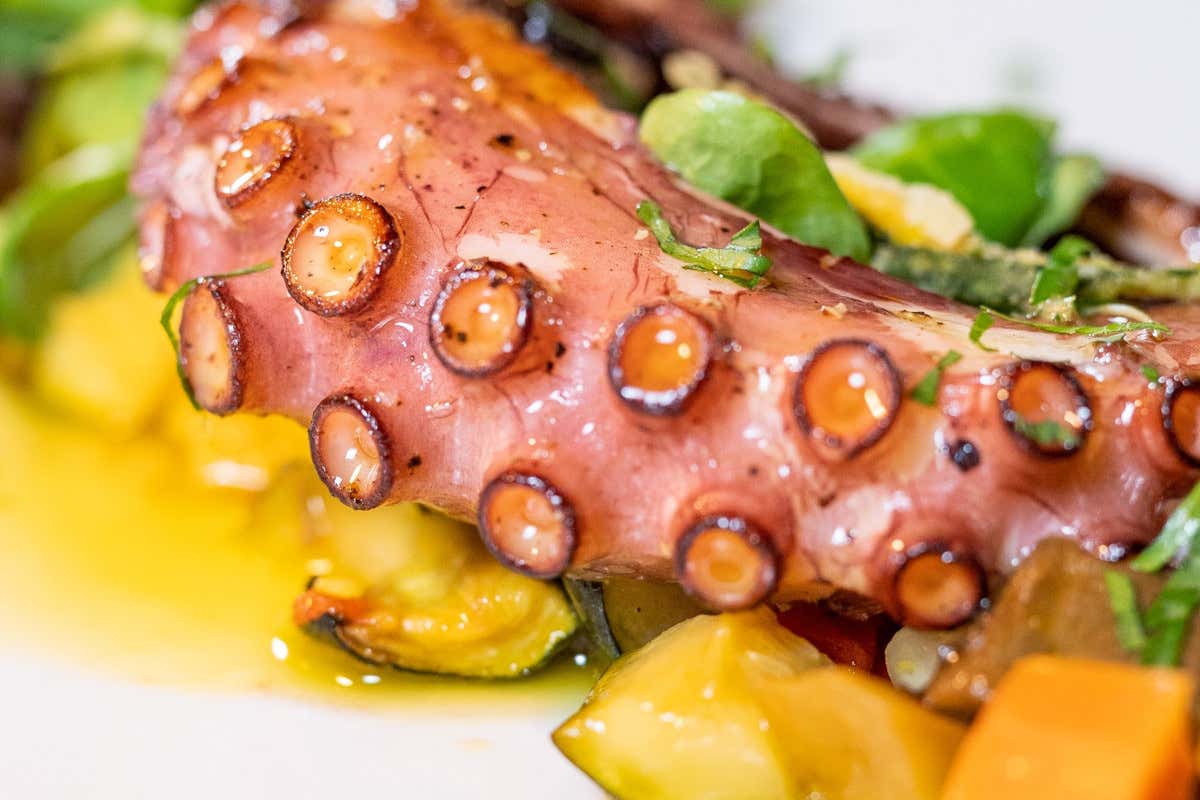 Ecco un ristorante di pesce da “Amare” nel cuore di Roma