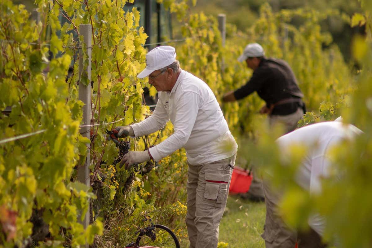 £$Nomen omen$£: giorni lieti a Borgo San Felice in Chianti