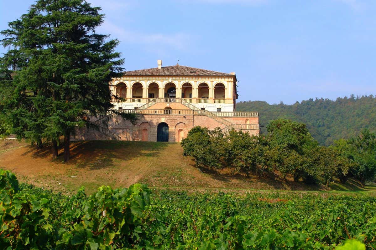 Cosa fare e cosa mangiare nei Colli Euganei: ecco alcuni consigli