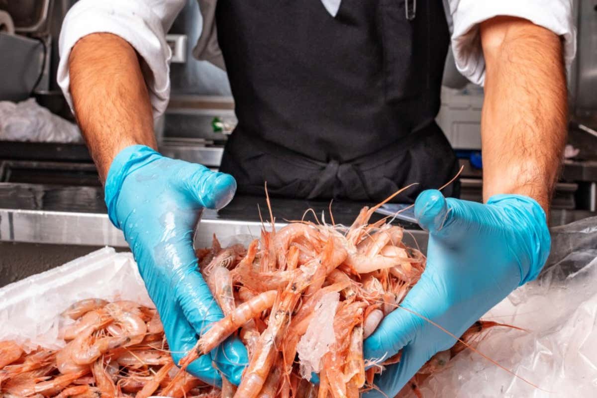 Un ristorante che è anche pescheria boutique: siamo da Makorè a Ferrara