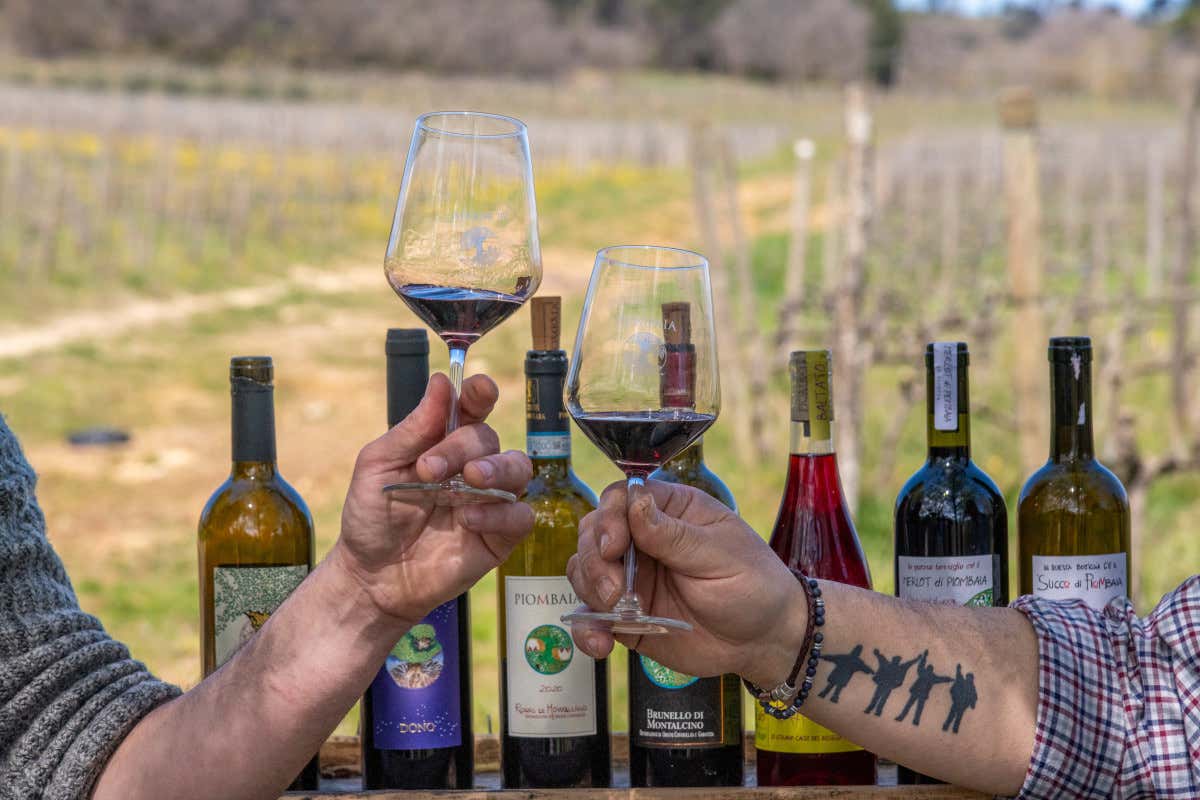 Non solo vino: Piombaia di Montalcino è anche agriturismo e ristorante