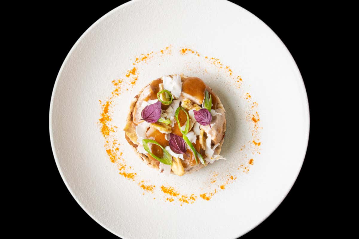 Mangiare come i centenari delle Blue Zone: apre a Milano The Longevity Kitchen