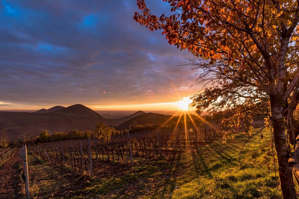 Cosa fare e cosa mangiare nei Colli Euganei: ecco alcuni consigli