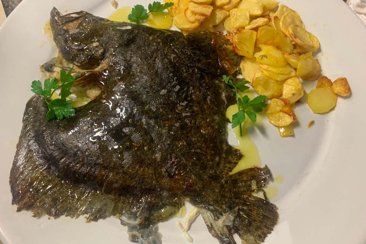Il Pescado a Roma: ecco come si cena in un ristorante dall’eleganza di altri tempi