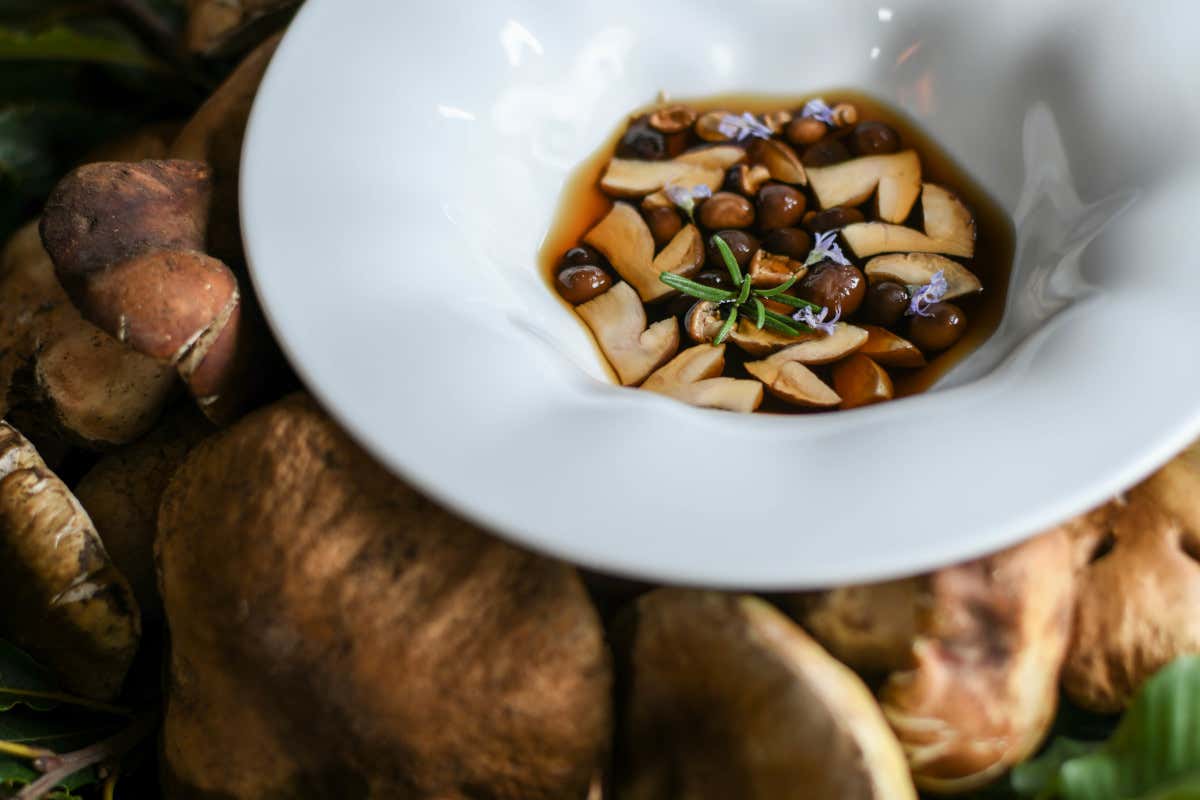In Liguria tra colline ed erbe spontanee: cosa si mangia da Cantine Cattaneo