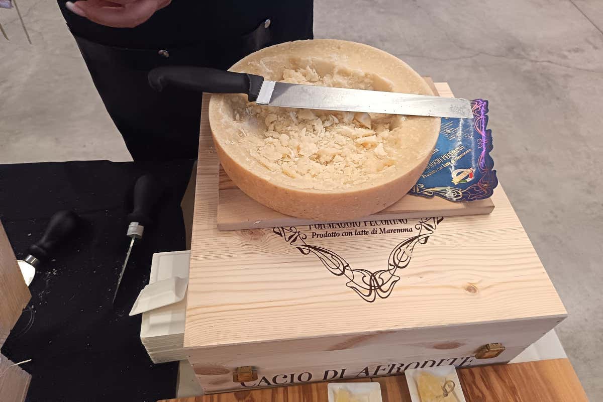 Viaggio tra 13 eccellenze gastronomiche (poco) conosciute e ottime per la ristorazione Viaggio tra 13 eccellenze gastronomiche (poco) conosciute e ottime per la ristorazione