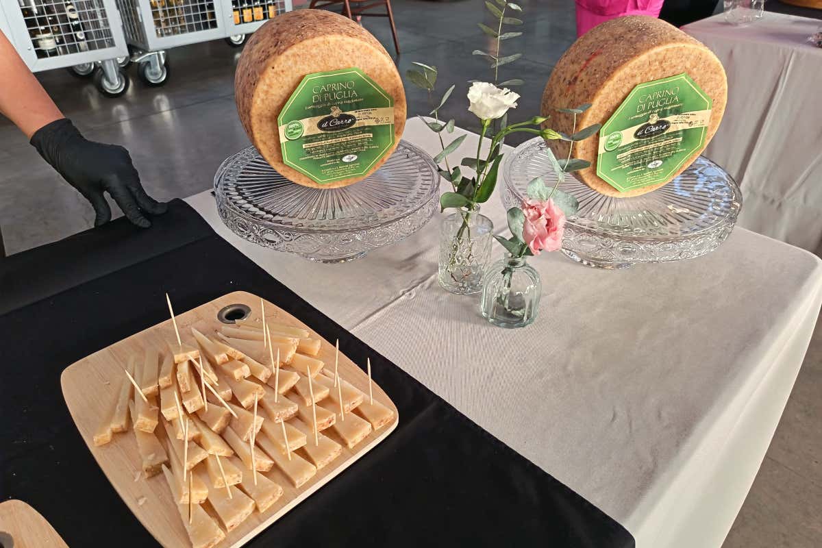 Viaggio tra 13 eccellenze gastronomiche (poco) conosciute e ottime per la ristorazione Viaggio tra 13 eccellenze gastronomiche (poco) conosciute e ottime per la ristorazione