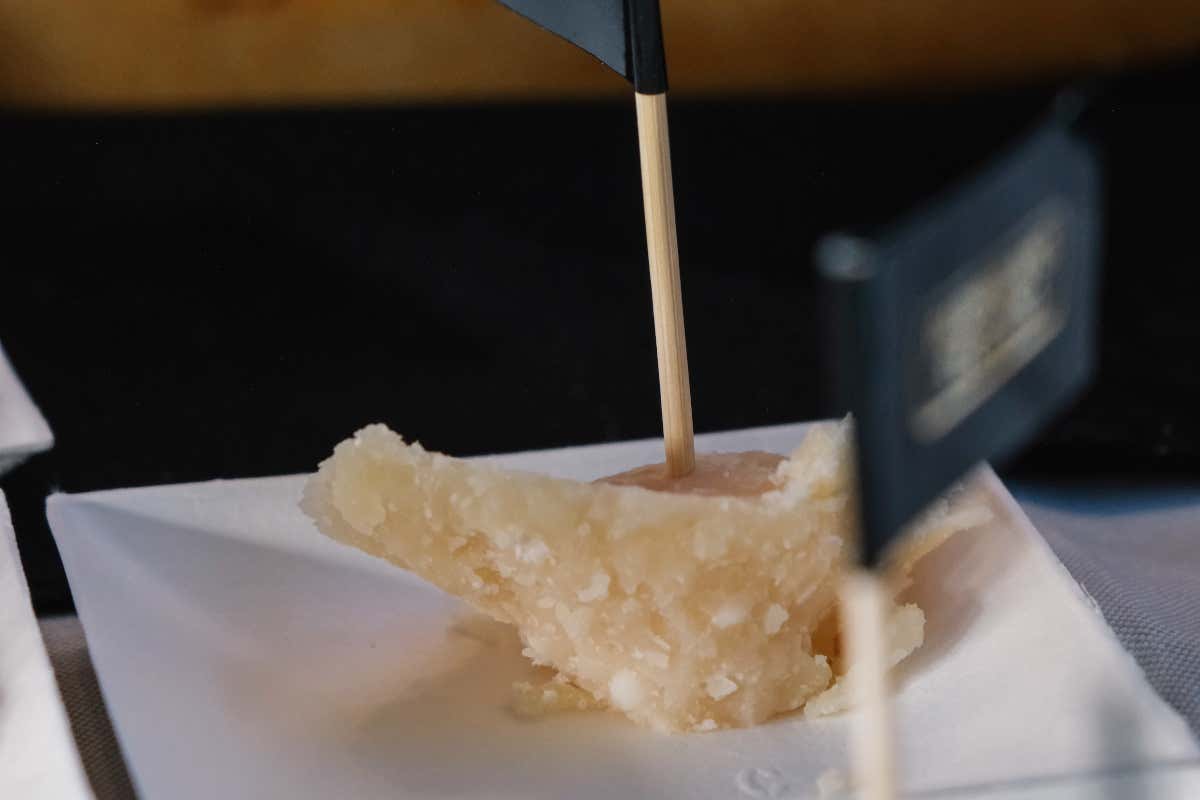 Viaggio tra 13 eccellenze gastronomiche (poco) conosciute e ottime per la ristorazione Viaggio tra 13 eccellenze gastronomiche (poco) conosciute e ottime per la ristorazione