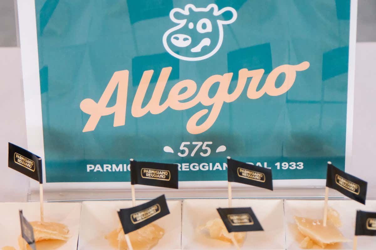 Viaggio tra 13 eccellenze gastronomiche (poco) conosciute e ottime per la ristorazione Viaggio tra 13 eccellenze gastronomiche (poco) conosciute e ottime per la ristorazione