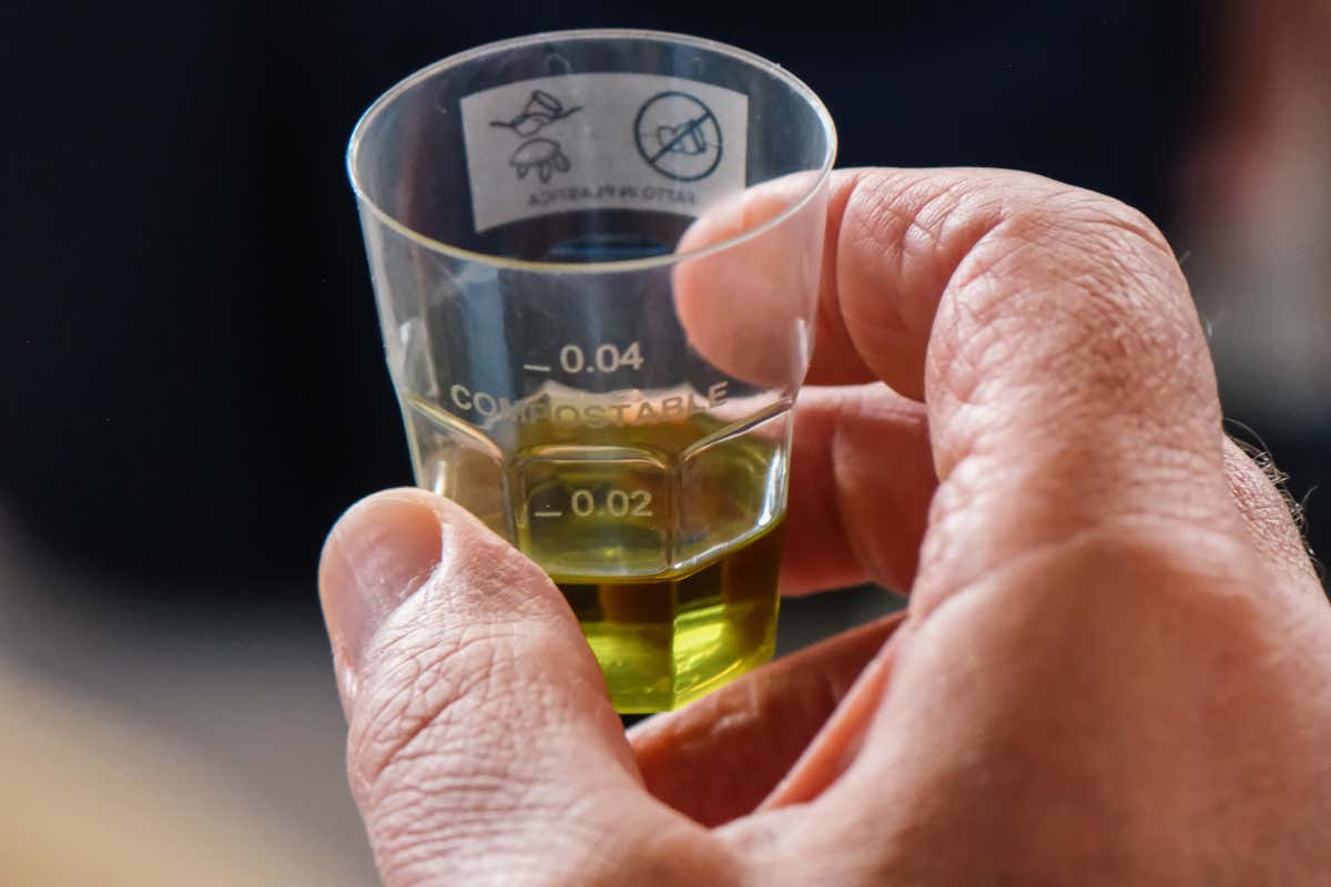 Viaggio tra 13 eccellenze gastronomiche (poco) conosciute e ottime per la ristorazione Viaggio tra 13 eccellenze gastronomiche (poco) conosciute e ottime per la ristorazione