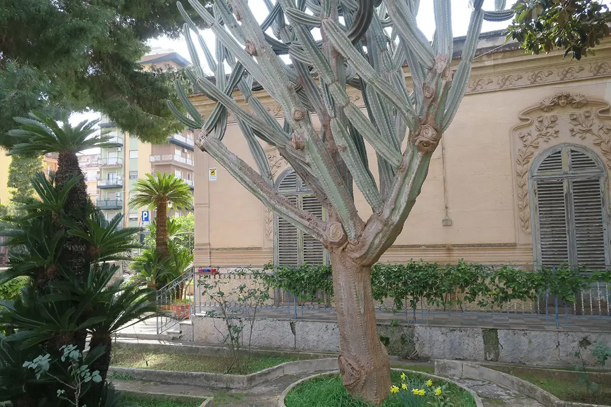 Liberty ai Colli Tour della Sicilia, a caccia di prelibatezze