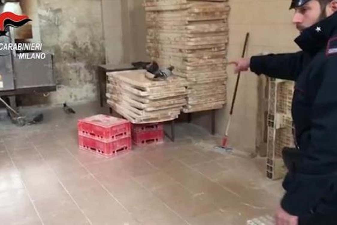Un momento dell'operazione dei carabinieri (Kebab con piccioni ed escrementi Sequestrato laboratorio milanese) Un momento dell'operazione dei carabinieri (Kebab con piccioni ed escrementi Sequestrato laboratorio milanese)