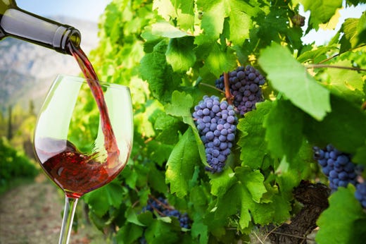 Guida Bibenda 2015, Piemonte al top 
499 “5 grappoli” assegnati in tutta Italia