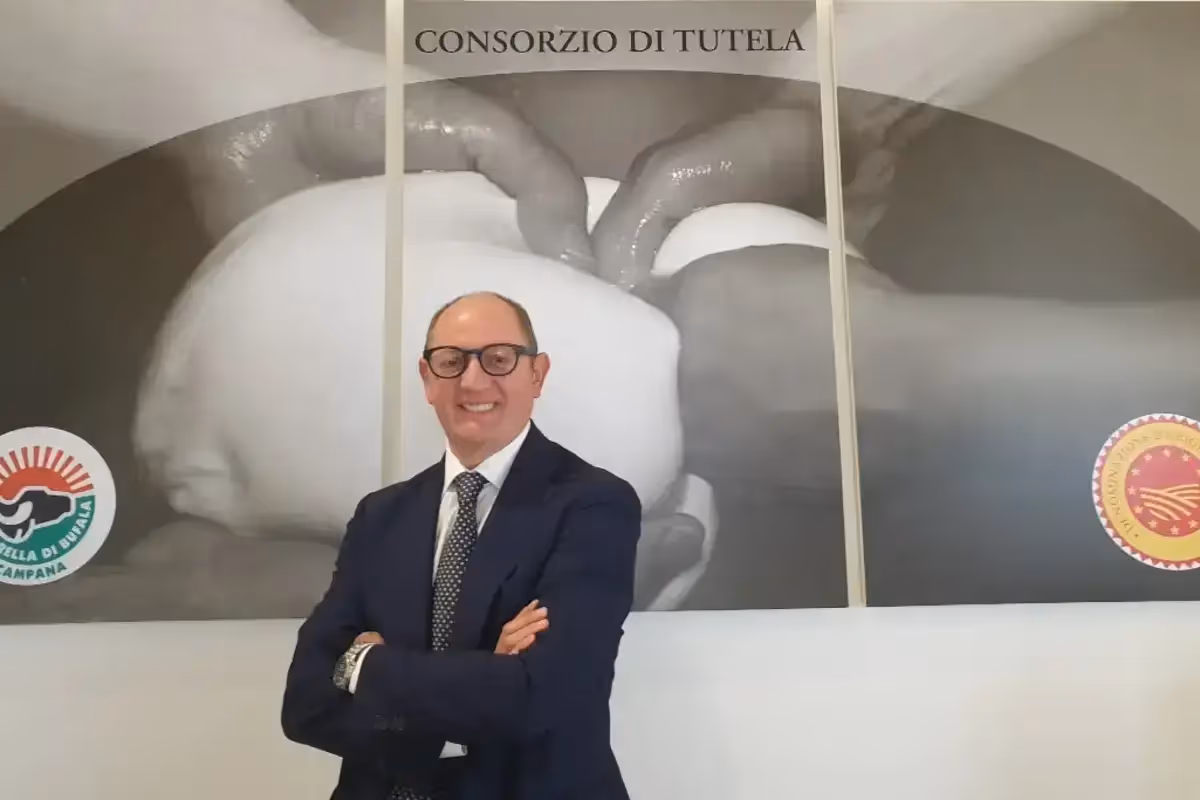 bufala