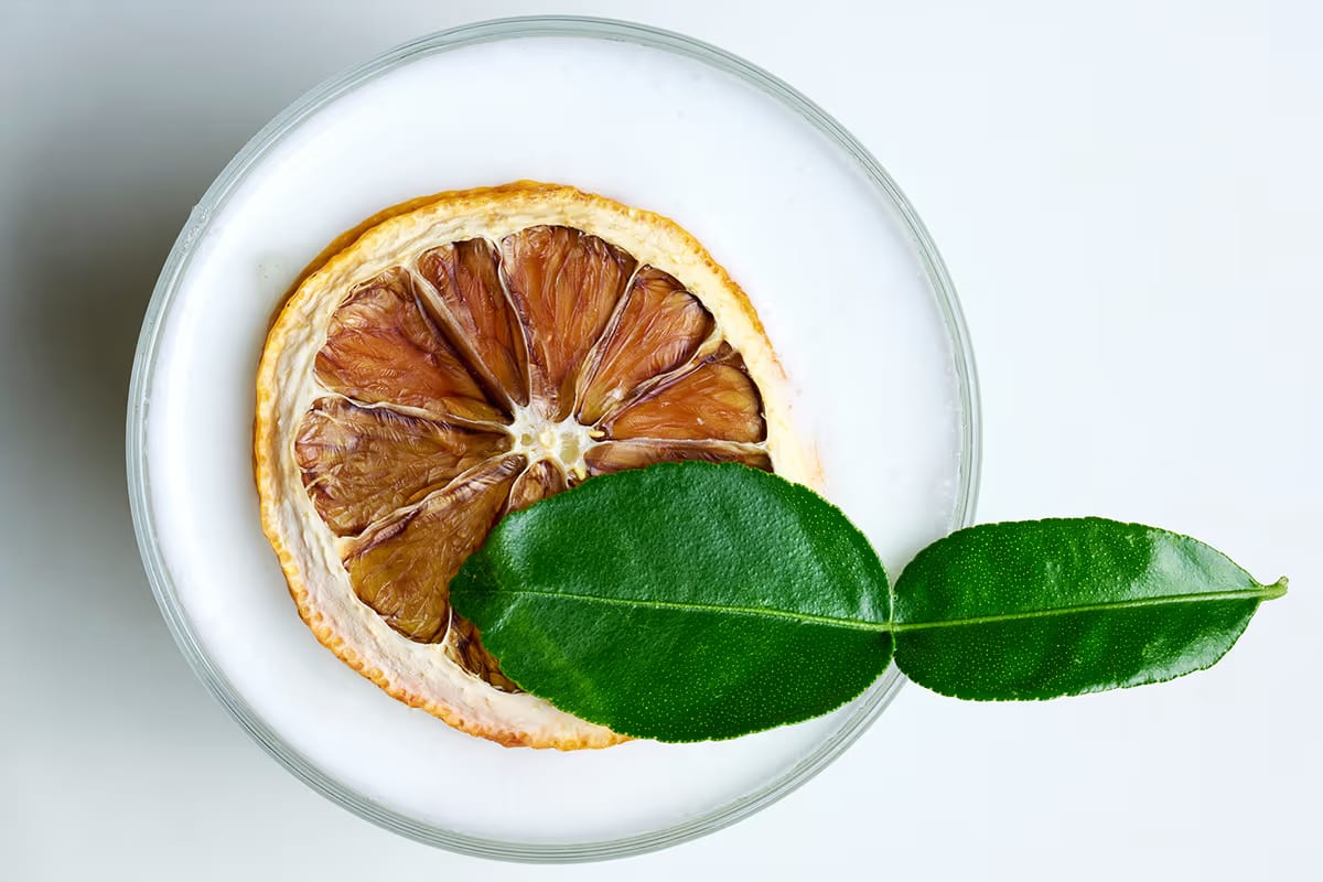 Cocktail Fujiko: la ricetta di Andrea Arcaini tra shiso, gin e note tropicali