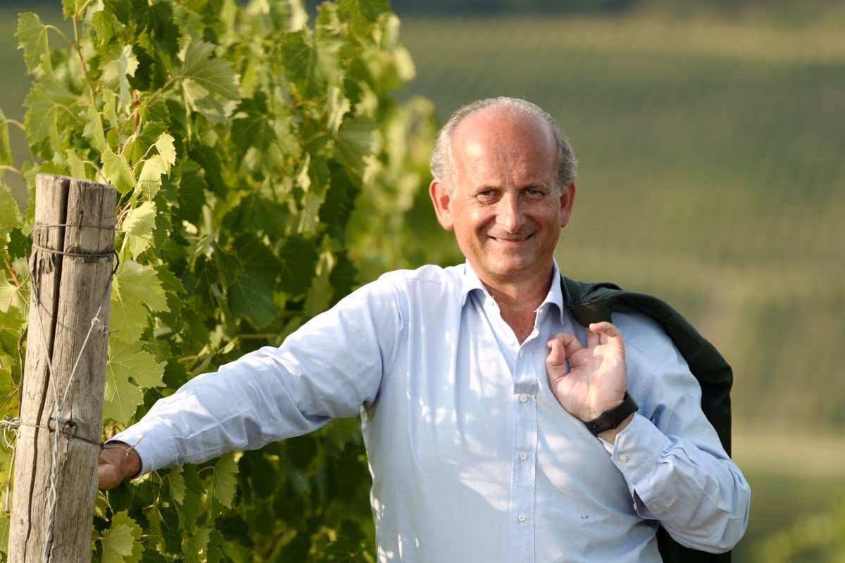 Troppo vino in cantina: la Toscana riduce le rese per la vendemmia 2026