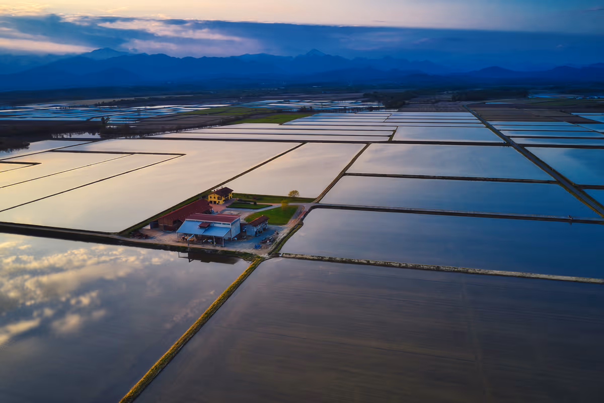 Il suggestivo panorama della pianura vercellese, definita il "mare a quadretti"
