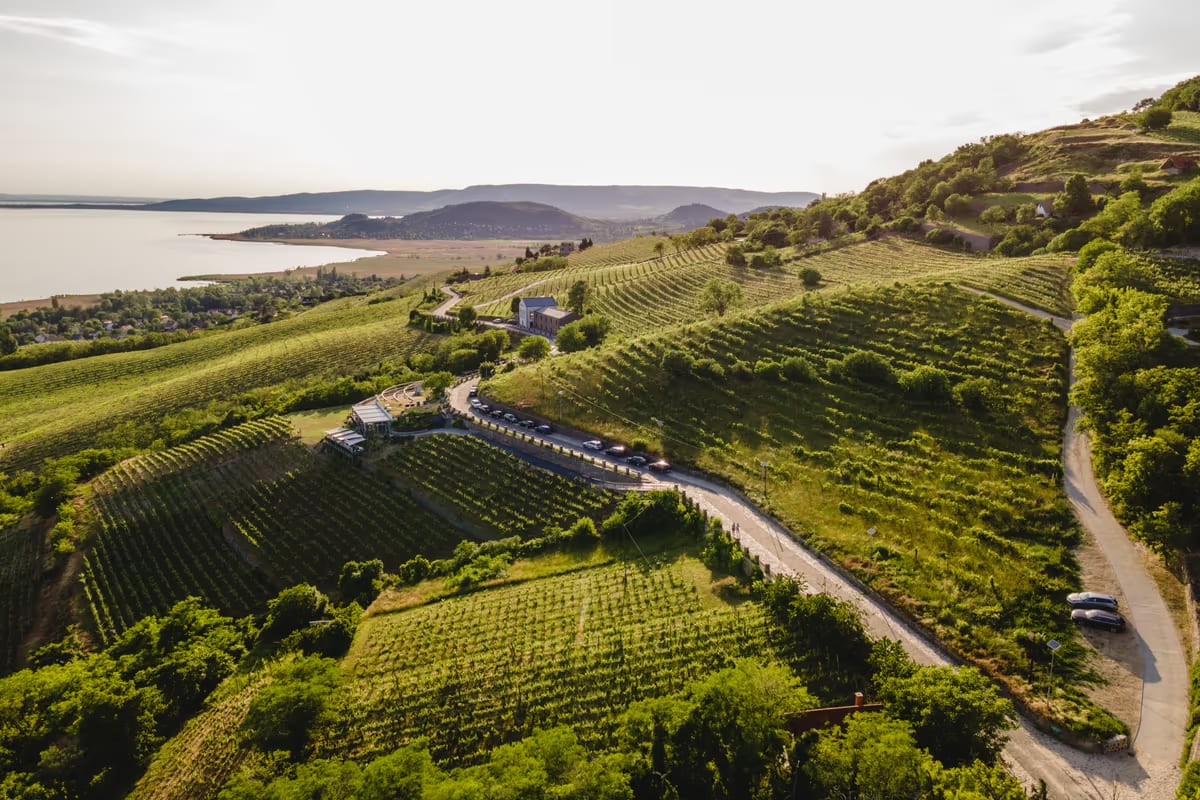 Ungheria, oggi una delle destinazioni da scoprire per gli appassionati di vino
