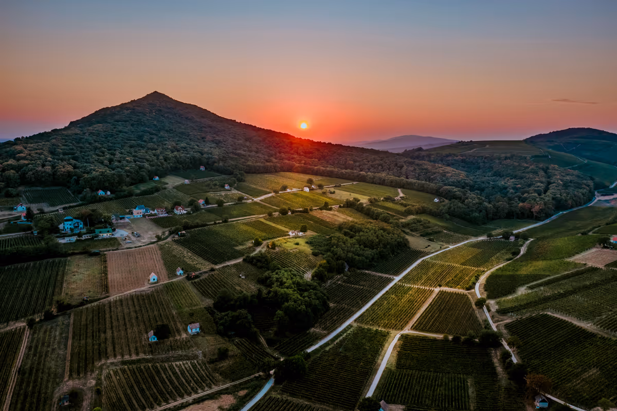 Ungheria, oggi una delle destinazioni da scoprire per gli appassionati di vino