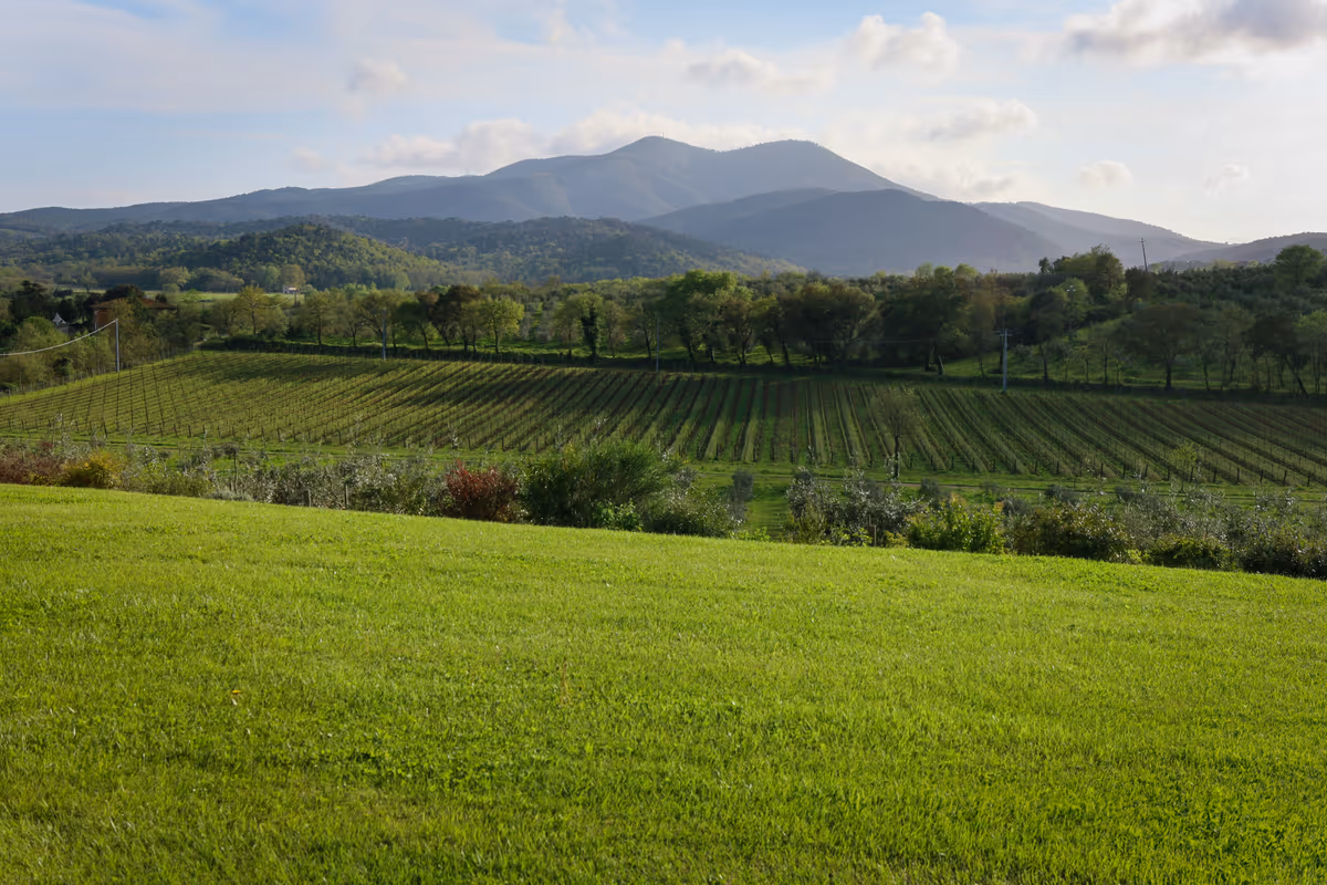 La realtà Toscana che unisce il terroir marino della Maremma alle colline del Brunello