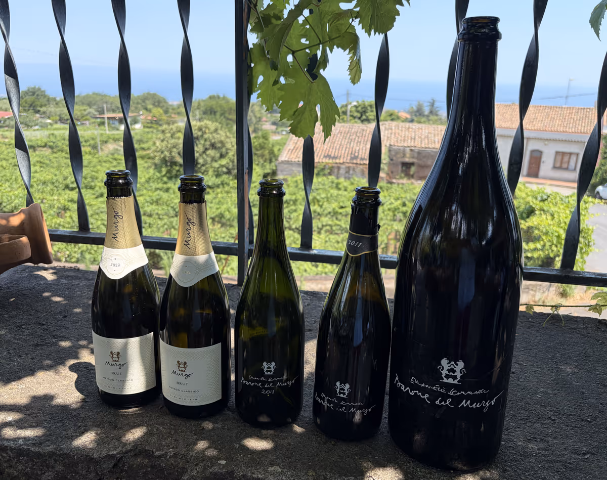 La selezione di spumanti Metodo Classico a base Nerello Mascalese degustati: da sinistra, il fresco Murgo Brut 2021, seguito dal Saemper 2022 e le prestigiose vecchie annate Barone del Murgo del 2013, 2011 e l'imponente Jeroboam 2016