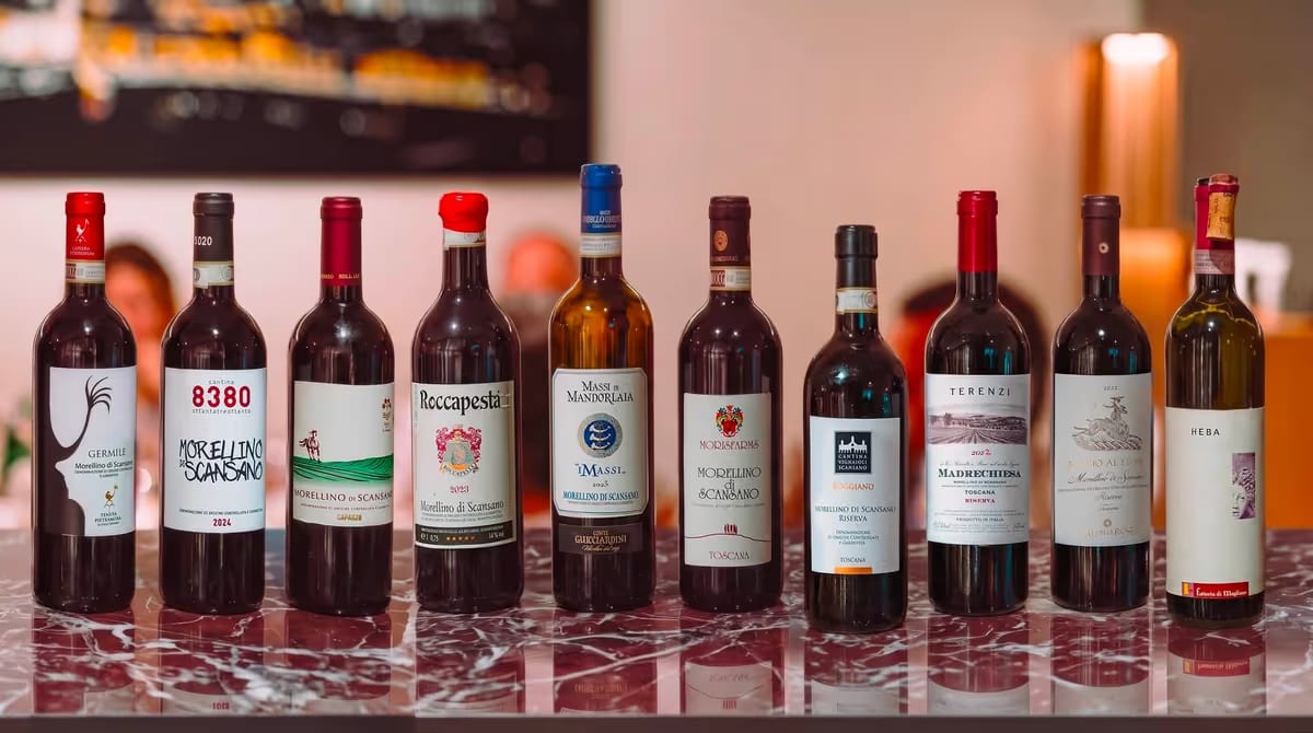 I 10 Morellino di Scansano scelti dai sommelier: la selezione del cuore