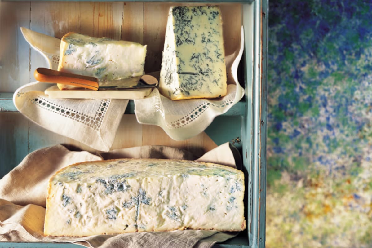 Gorgonzola Dop, Giappone e Francia trainano la crescita dell’export italiano