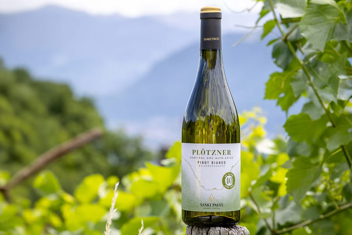 Da un ettaro a 49 mila bottiglie: i 40 anni del Pinot Bianco Plötzner di Sankt Pauls