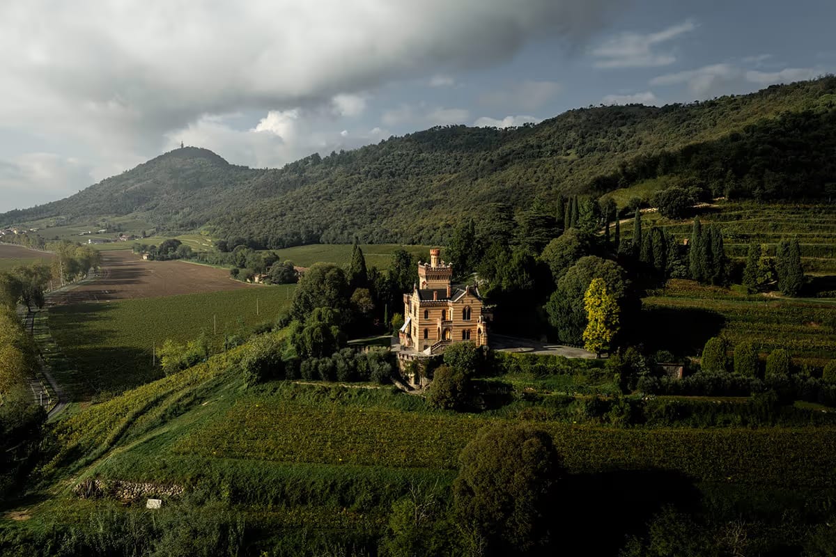 Castello Bonomi: vigne vecchie e raccolta manuale decisive per la qualità delle uve